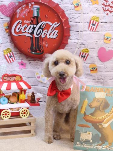 20230913ココアちゃん